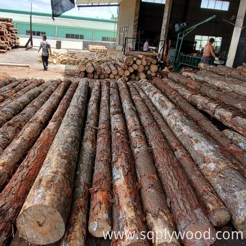 Shuttering/Marine Plywood, Construction Waterproof Film Faced Plywood for Building